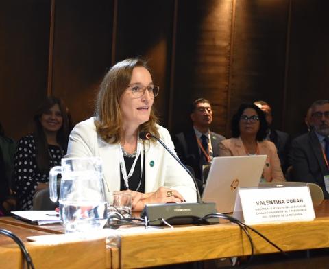 REDLASEIA fomenta el diálogo sobre participación ciudadana en la COP3 del Acuerdo de Escazú