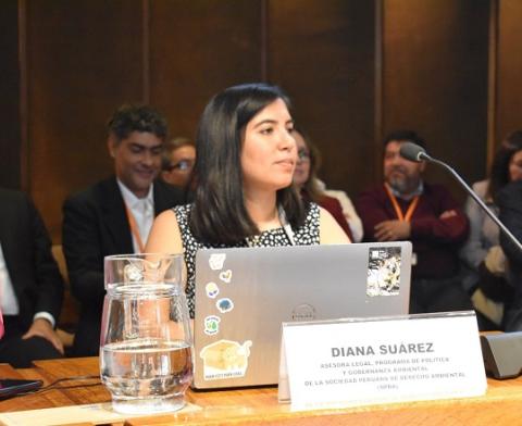REDLASEIA fomenta el diálogo sobre participación ciudadana en la COP3 del Acuerdo de Escazú