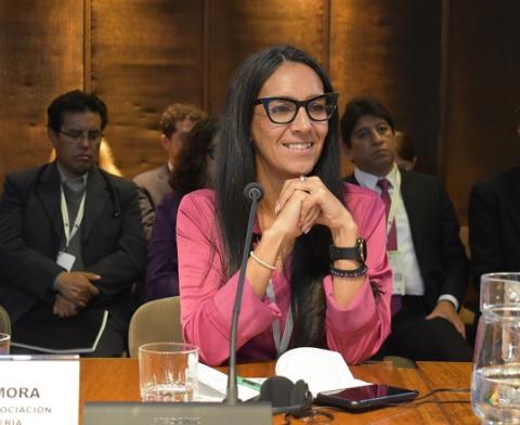REDLASEIA fomenta el diálogo sobre participación ciudadana en la COP3 del Acuerdo de Escazú